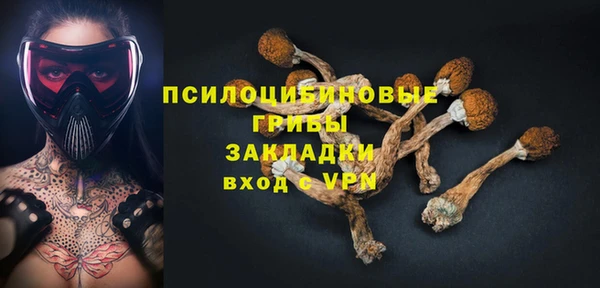 прущая мука Алзамай