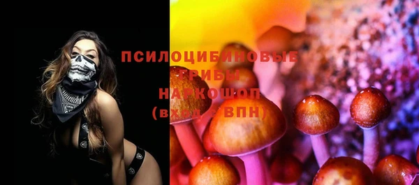 прущая мука Алзамай