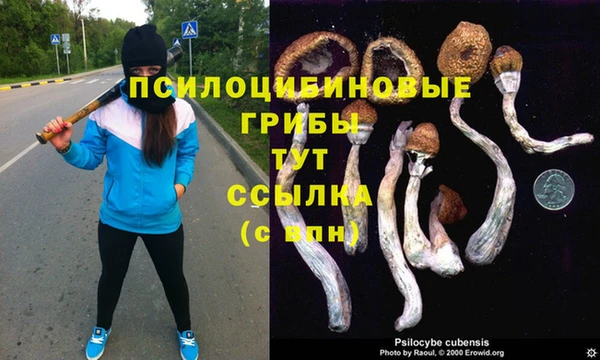 наркотики Абинск