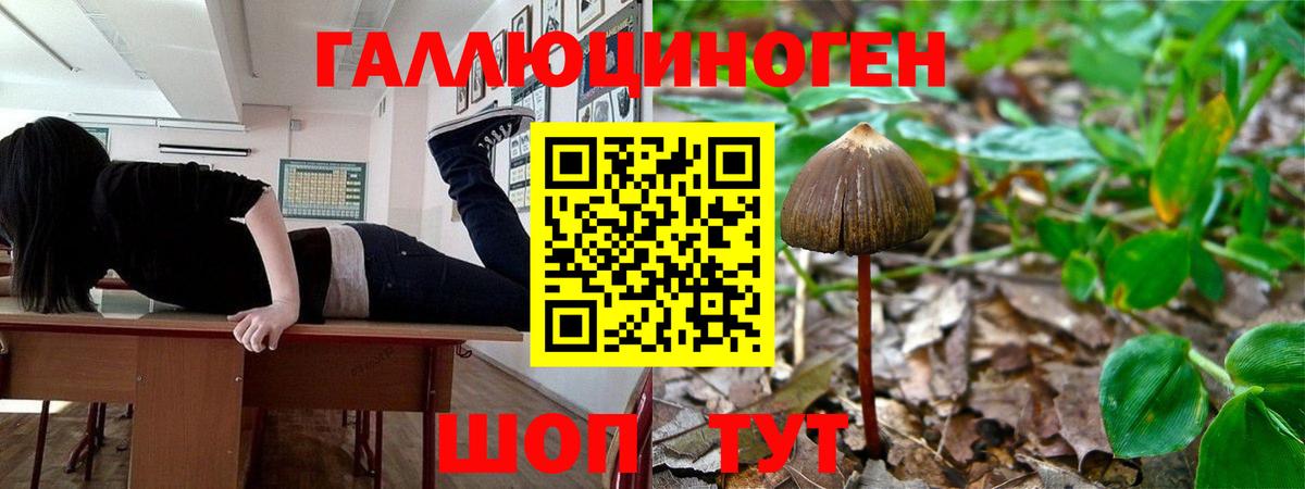 купить наркотик  Галлюциногенные грибы Psilocybine cubensis  Вход с VPN  Сатка 